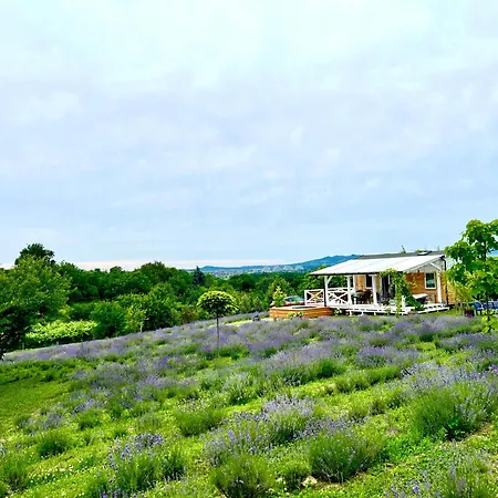 Vulcan Eco Retreat Dom wakacyjny *