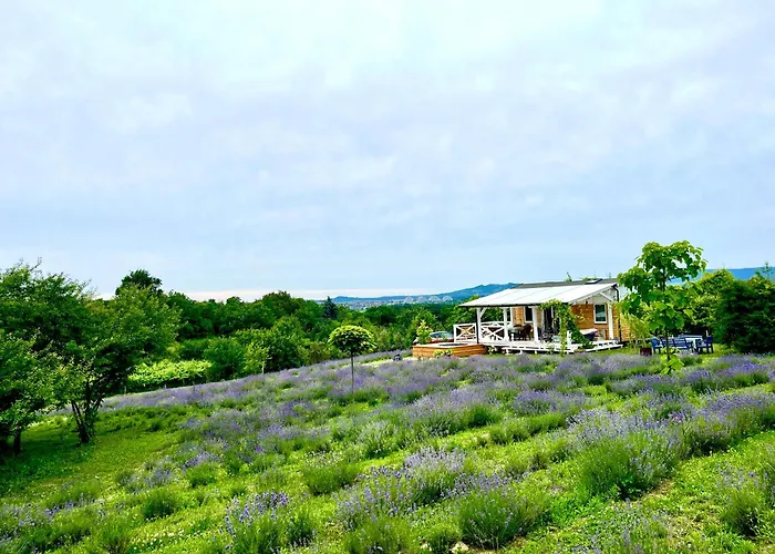 Vulcan Eco Retreat Σπίτι διακοπών *